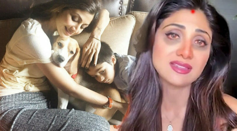 Shilpa Shetty Dog Princess Died